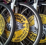 Rental services for own tour